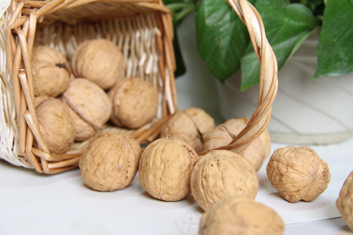 高清核桃 核桃素材图片