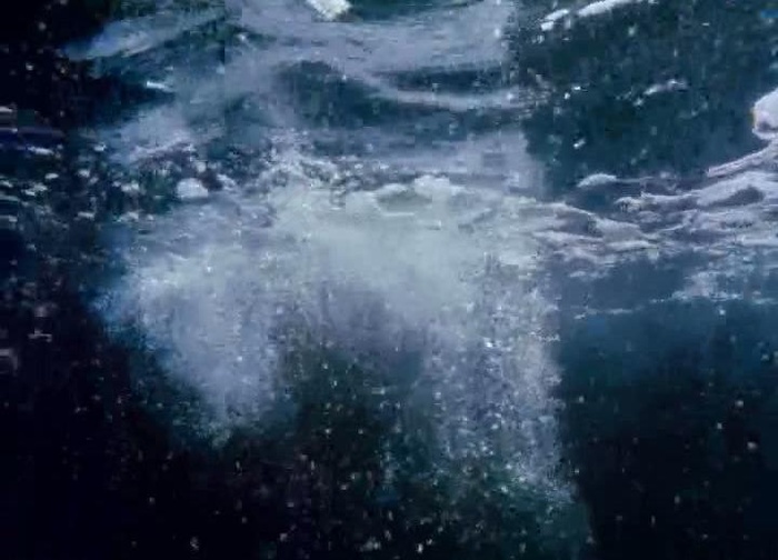 水珠视频素材图片