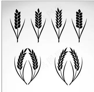 小麦矢量图标图片