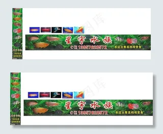 乐华 星宇水族 鱼图片