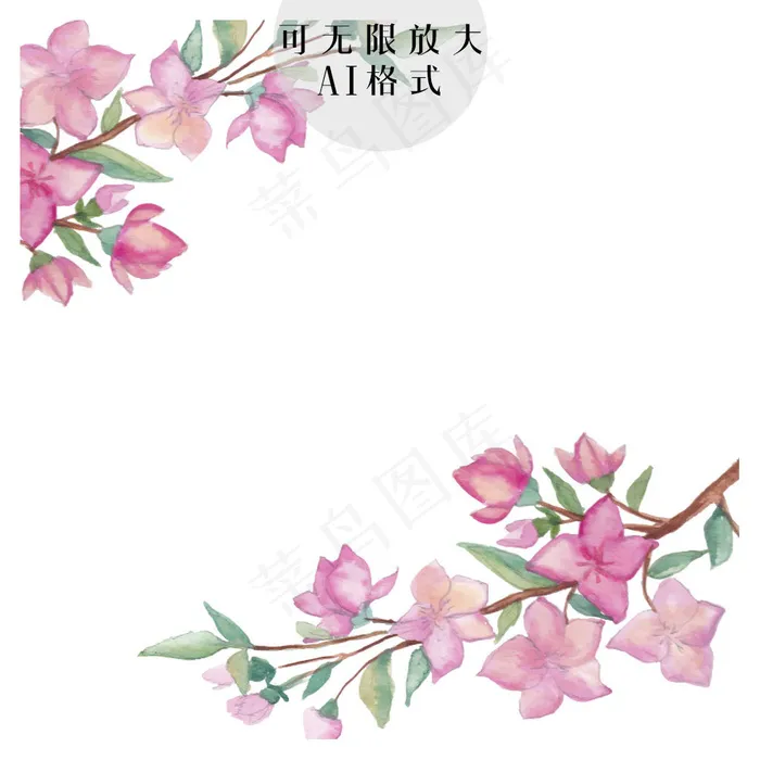 花卉