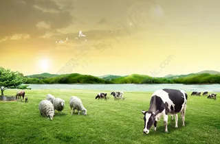 草原青山流水绿地湖泊牛羊吃草