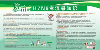 H7N9禽流感海报广告设计
