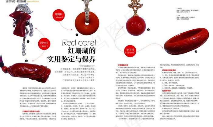 杂志内页图片psd模版下载