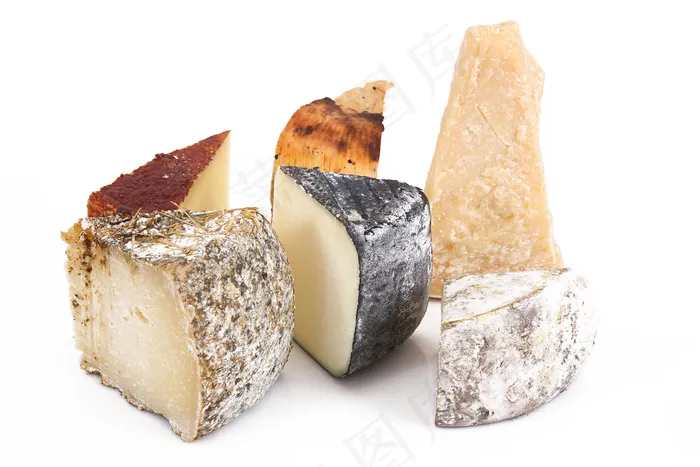 奶酪28图片