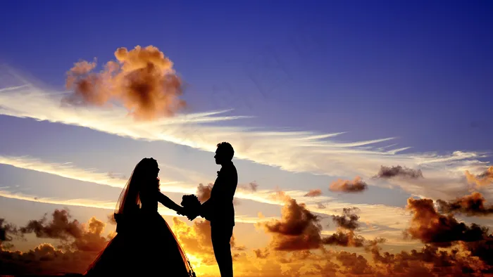 pr浪漫心形花瓣汇聚婚礼相册展示模板(1920X1080)