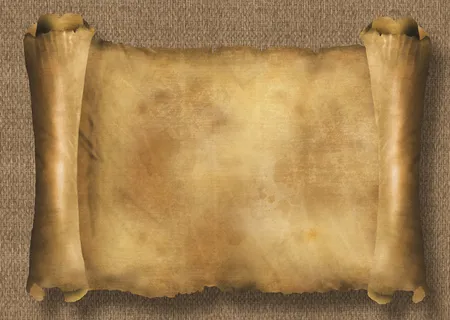 纸卷轴上的芦苇质地