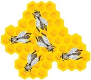 蜜蜂和六边形蜂蜜