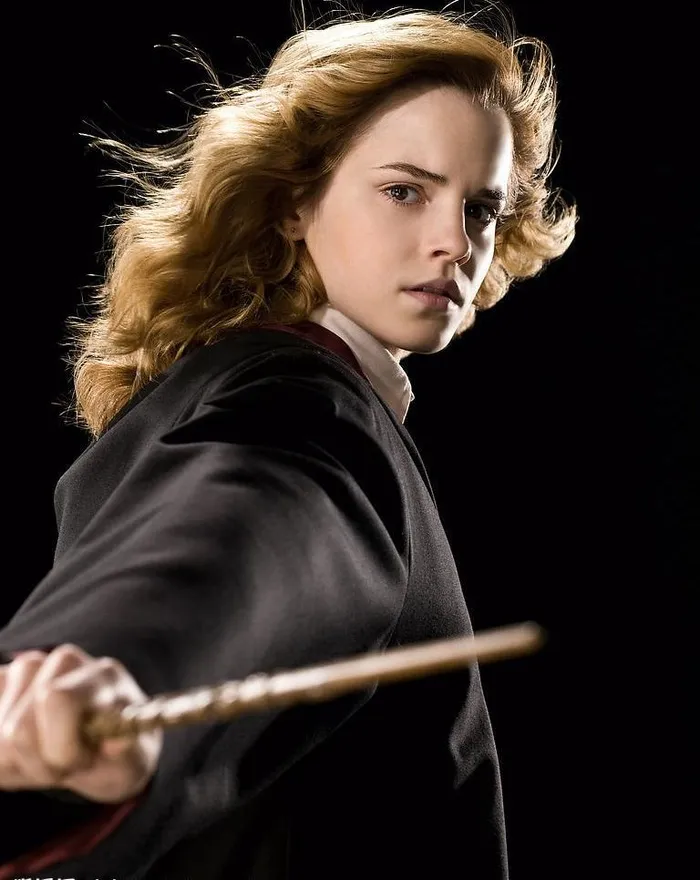 哈利·波特与混血王子 定...