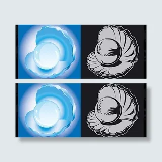 矢量素材的珍珠蚌