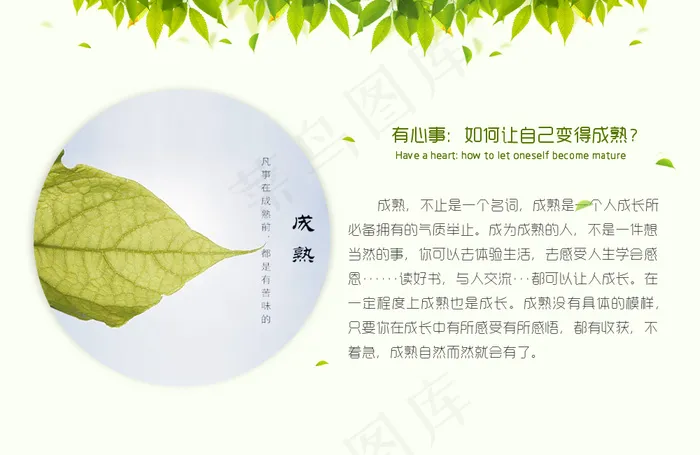 树叶psd模版下载