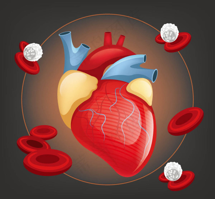 人体心脏器官设计矢量素材,eps,ai矢量模版下载
