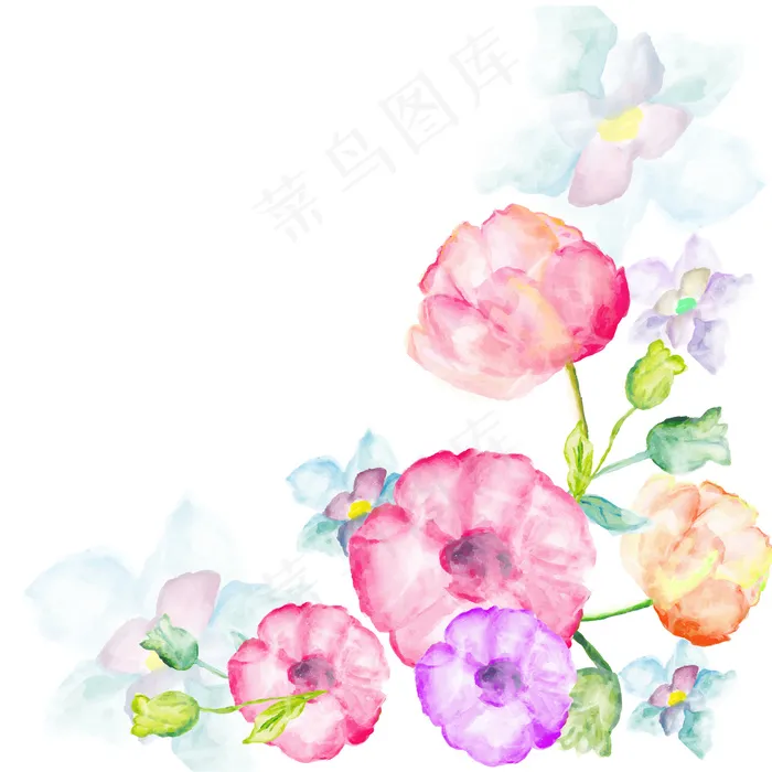 植物花卉素材