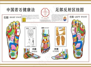足部反射区图片