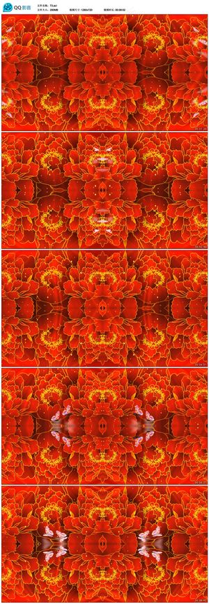 LED舞台背景视频