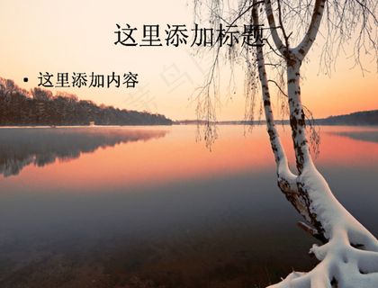 白桦树旁的四季景色ppt图片(3...