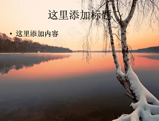 白桦树旁的四季景色ppt图片(3...