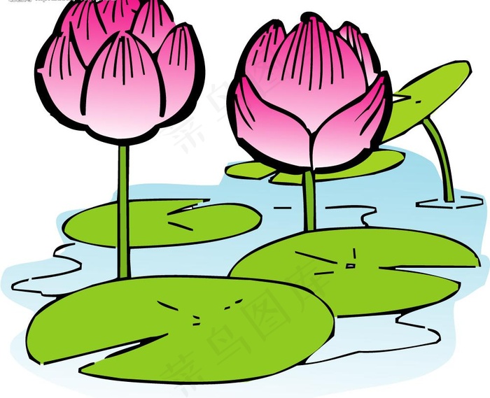 矢量荷花图图片