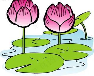 矢量荷花图图片