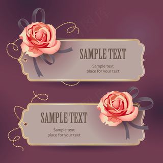 精美玫瑰卡片矢量素材