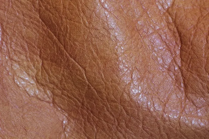 真皮纹理4