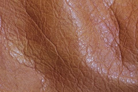 真皮纹理4