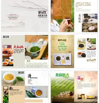 茶叶画册图片