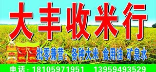 大丰收米行图片