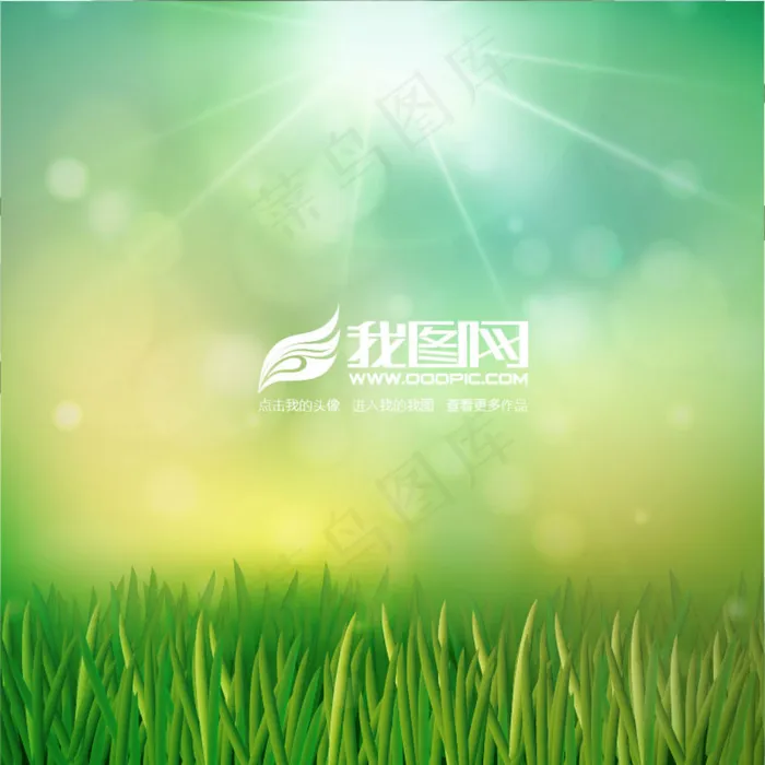 阳光照耀绿草矢量图