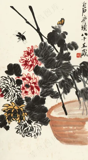 菊花图片 菊花图片