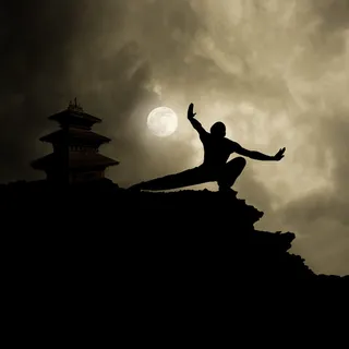 月光下练武术的人物剪影 月光下练武术的人物剪影
