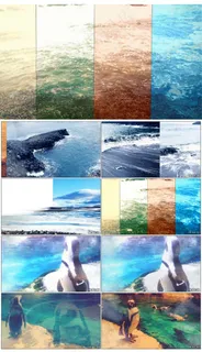 三维飞机企鹅海边沙滩游玩分镜镜头 三维飞机企鹅海边沙滩游玩分镜镜头