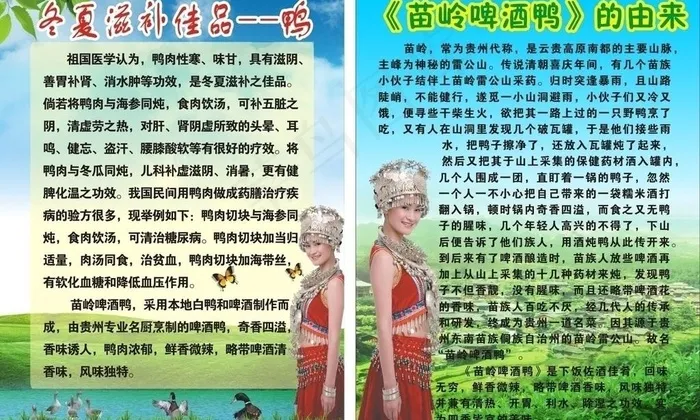 啤酒鸭图片cdr矢量模版下载