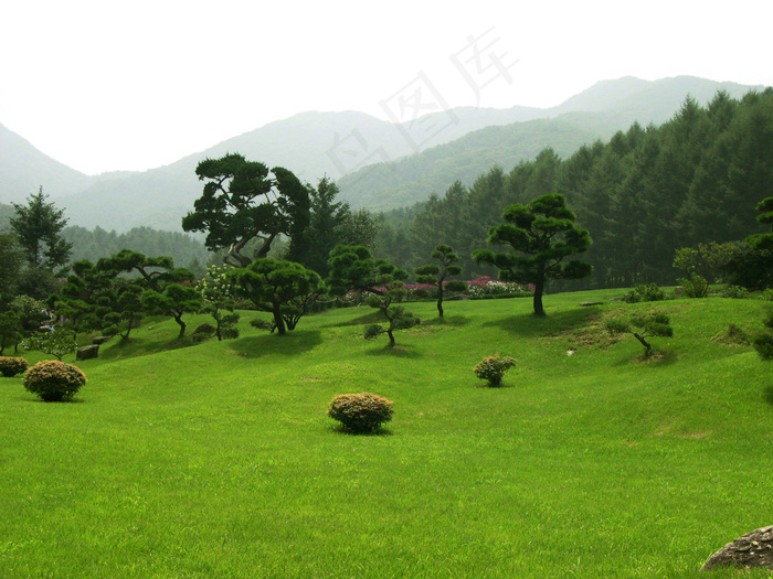 森林公园自然风光网页模板