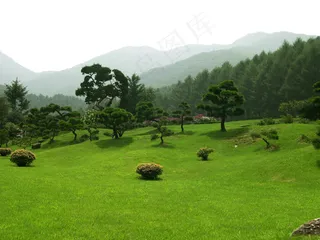 森林公园自然风光网页模板