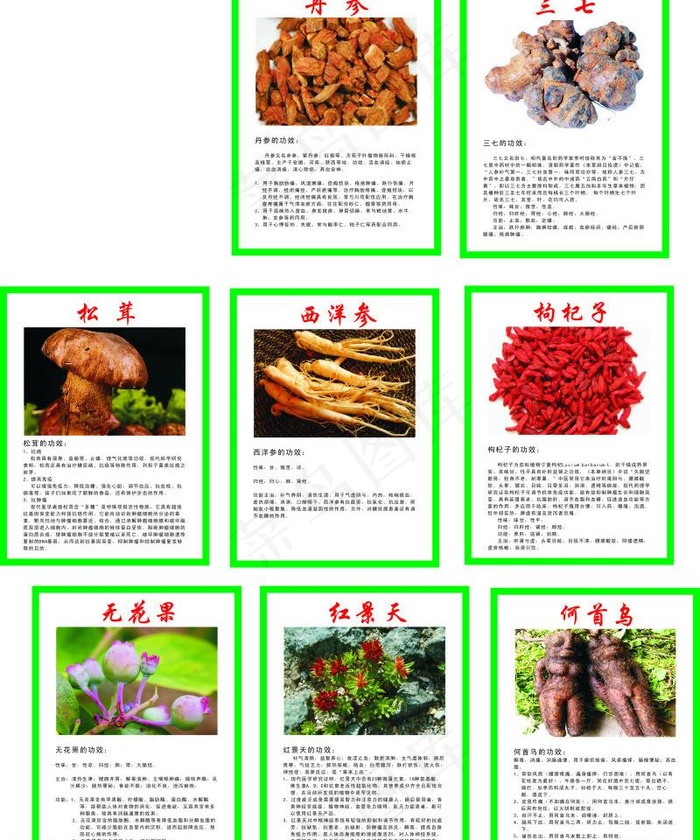 中草药 功效图片cdr矢量模版下载