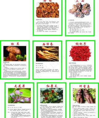 中草药 功效图片