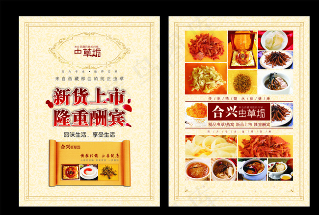 中药宣传单图片cdr矢量模版下载