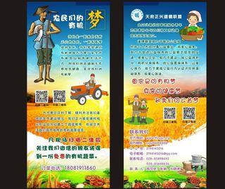 有机蔬菜x展架图片