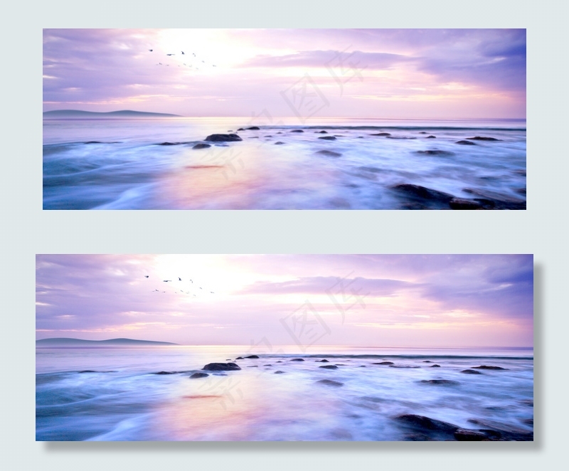 海面天空飞鸟背景　