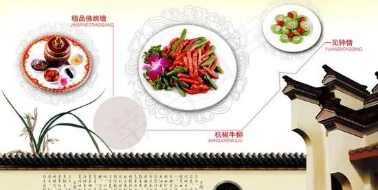 中国风特色菜谱PSD素材