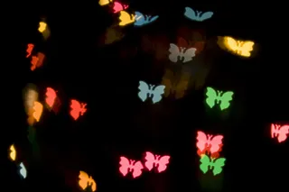 霓虹潮流 蝴蝶 飘飘 华丽 星光...
