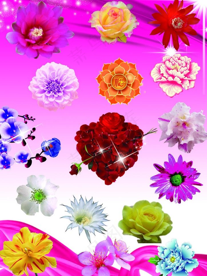 花朵图片(3508X4961(DPI:300))psd模版下载