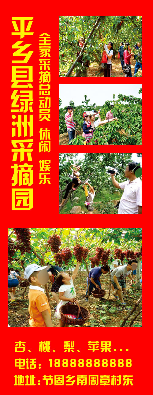 平乡县绿洲采摘园psd模版下载