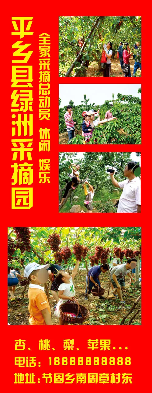 平乡县绿洲采摘园psd模版下载
