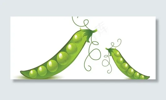 豌豆图片