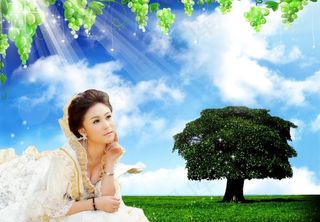 蓝天 白云 美女 新娘 树 草地图...