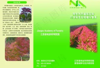 农林种植栽培技术景观图片