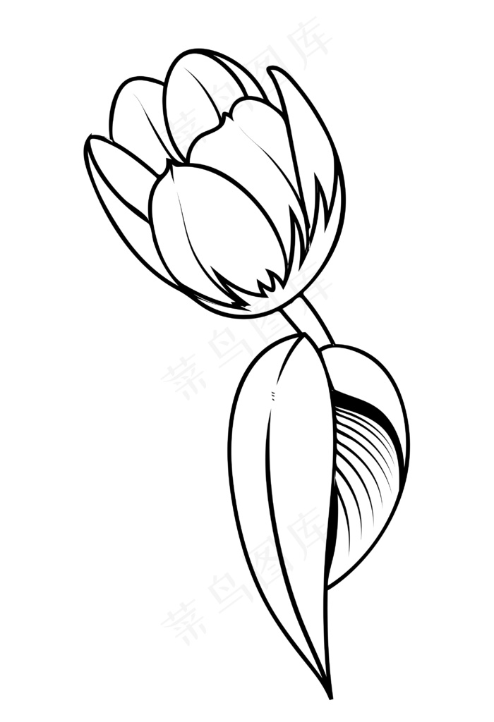 郁金香花画eps,ai矢量模版下载