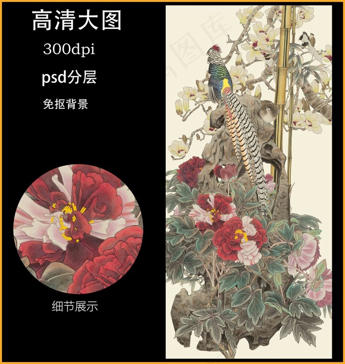 国画花鸟